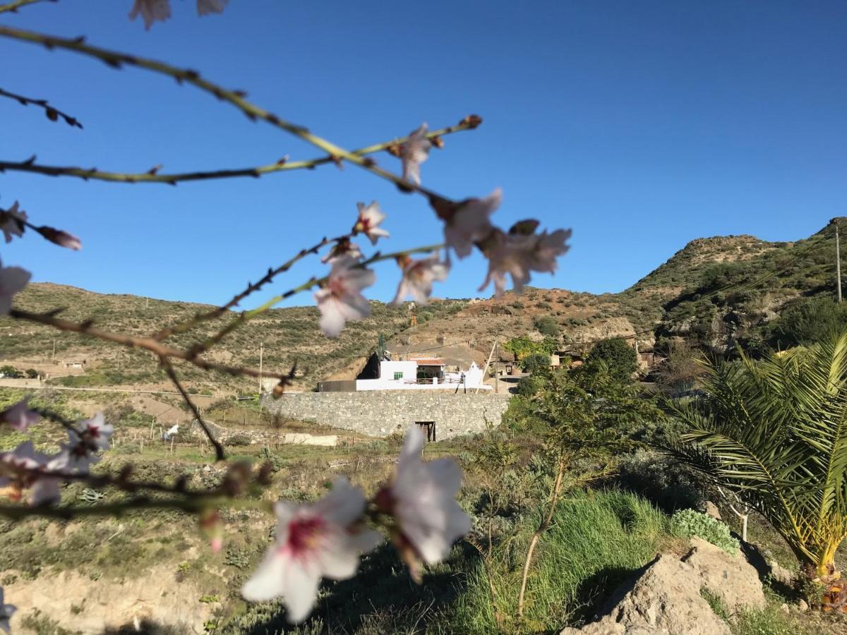 아르테나라 Casa Cueva El Caidero 게스트하우스 외부 사진